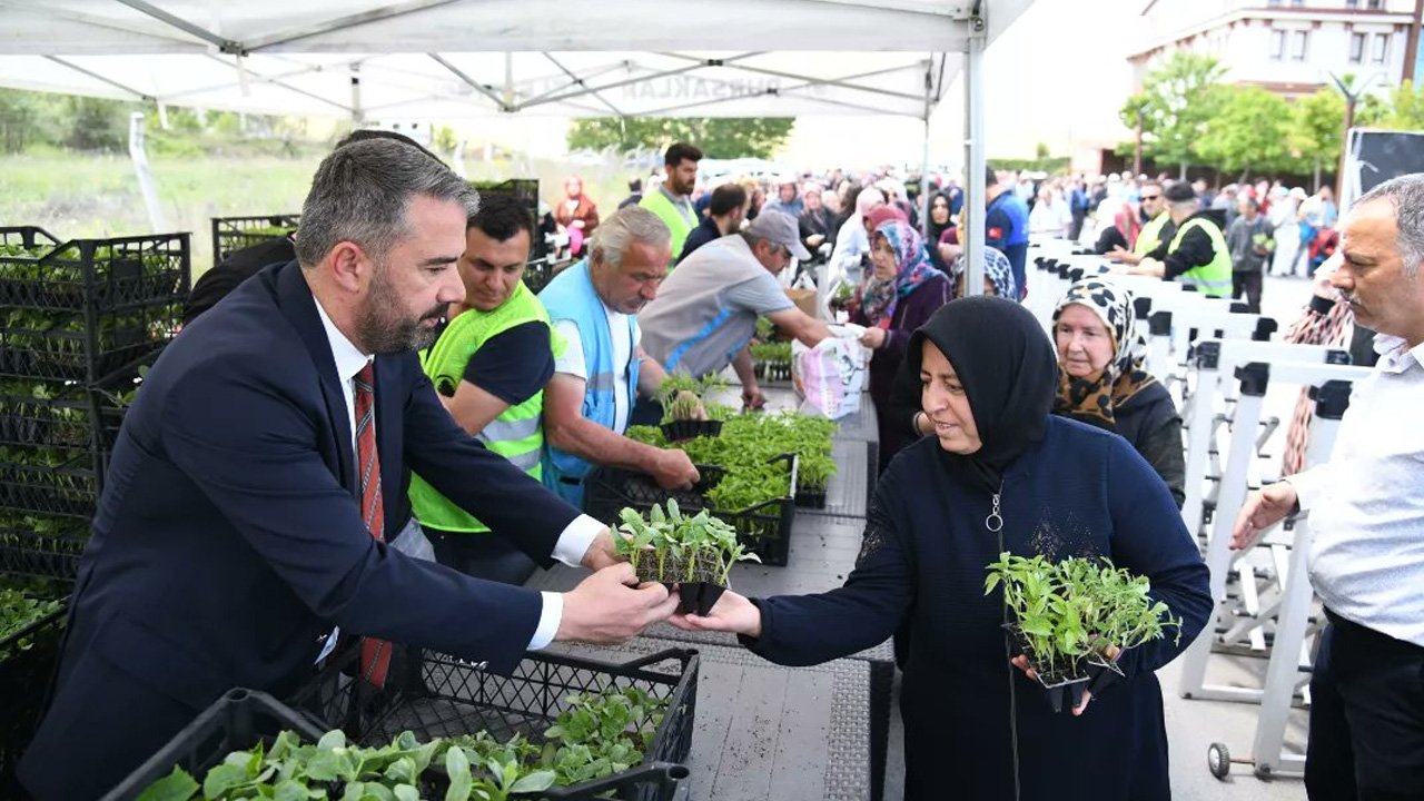 Pursaklar Belediyesinden 100 bin sebze fidesi