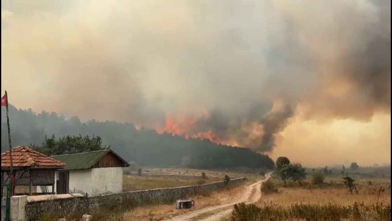 Kızılcahamam Şahinler Köyü'nde orman yangını