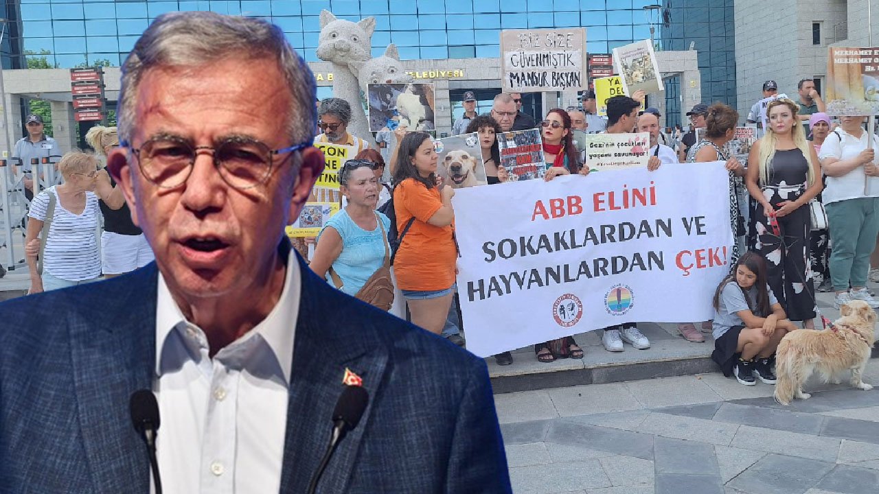 Sözde hayvan severlerde Mansur Yavaş rahatsızlığı: Size güvenmiştik