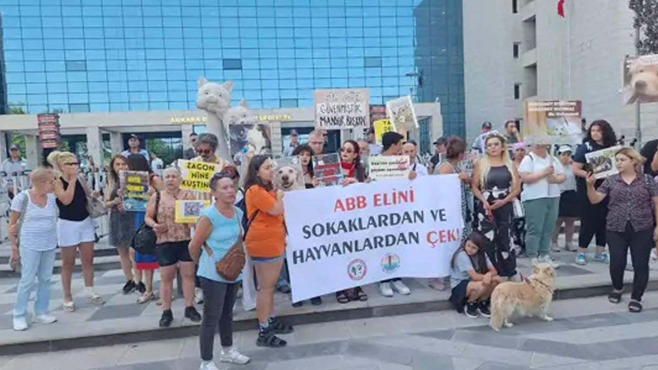 Köpekçilerden Başkan Mansur Yavaş'a tehdit