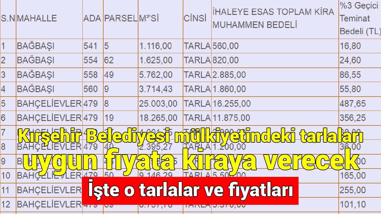 Kırşehir Belediyesi mülkiyetindeki tarlaları uygun fiyata kiraya veriyor