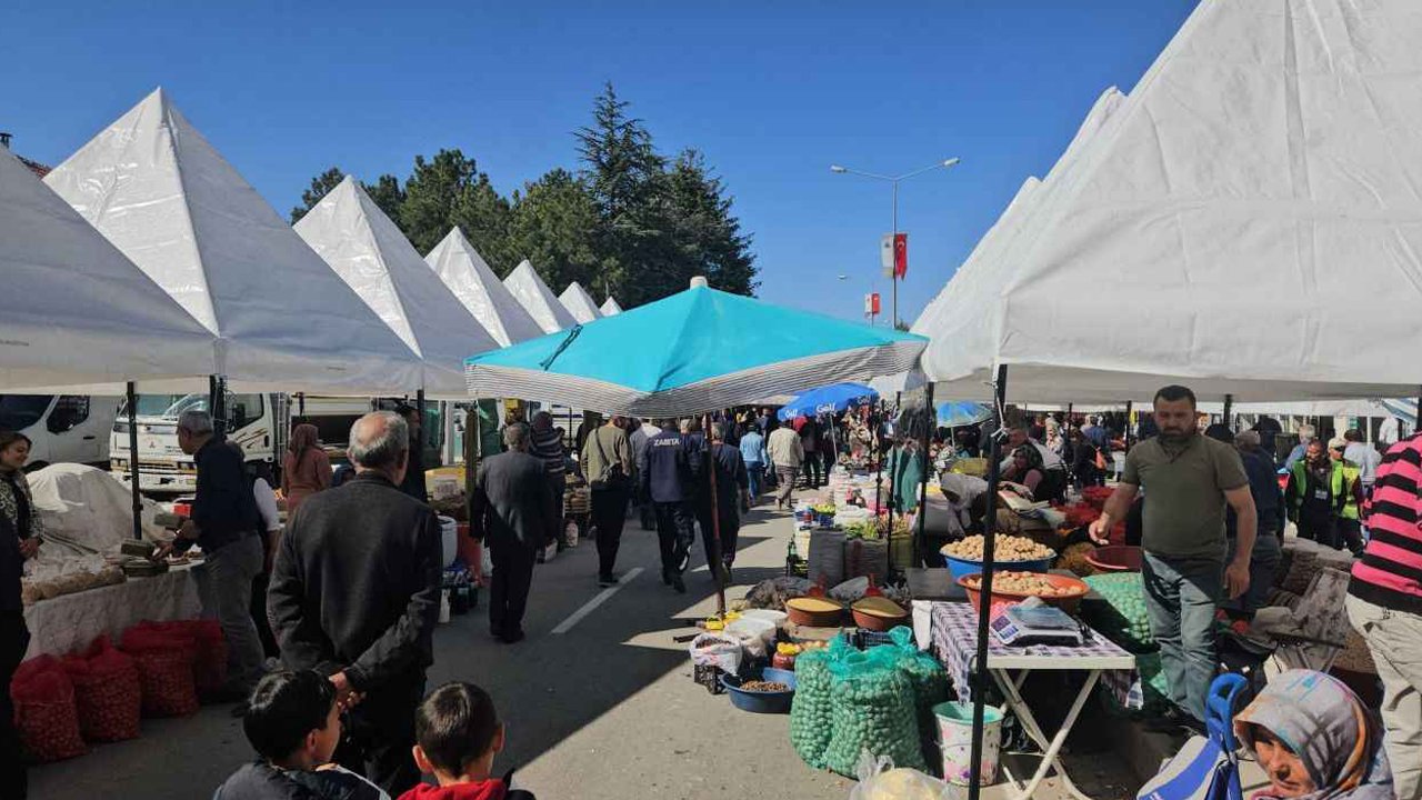 Kırşehirliler Kaman'da buluşacak: Ceviz festivali yaklaştı