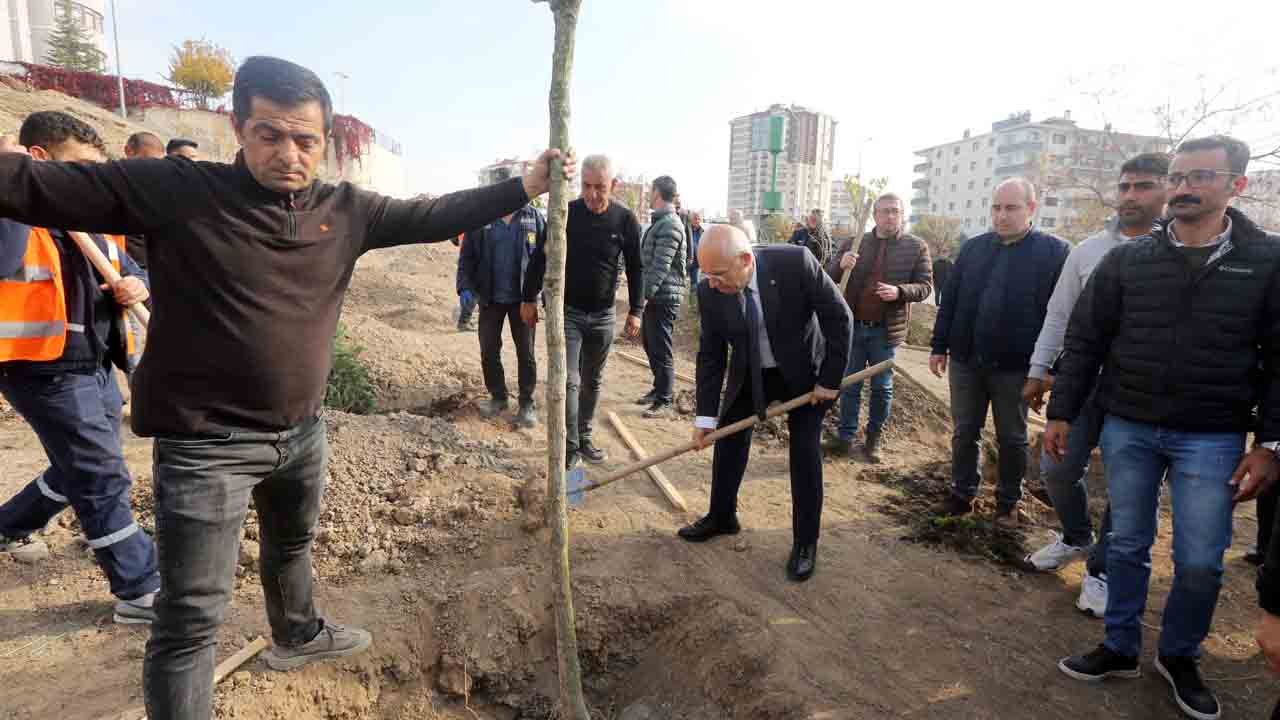 Ankara Yenimahalle’de 200 fidan toprakla buluştu