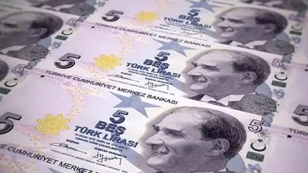 Yeni 5 ve 50 TL banknotlar bugün tedavüle giriyor