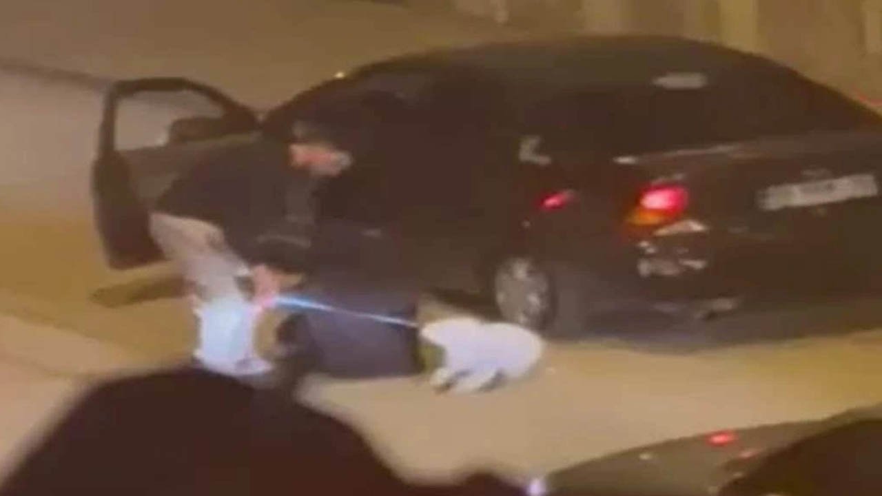 Polatlı’da dehşet: Kadını arabaya bindirmeye çalıştı, köpeğine saldırdı