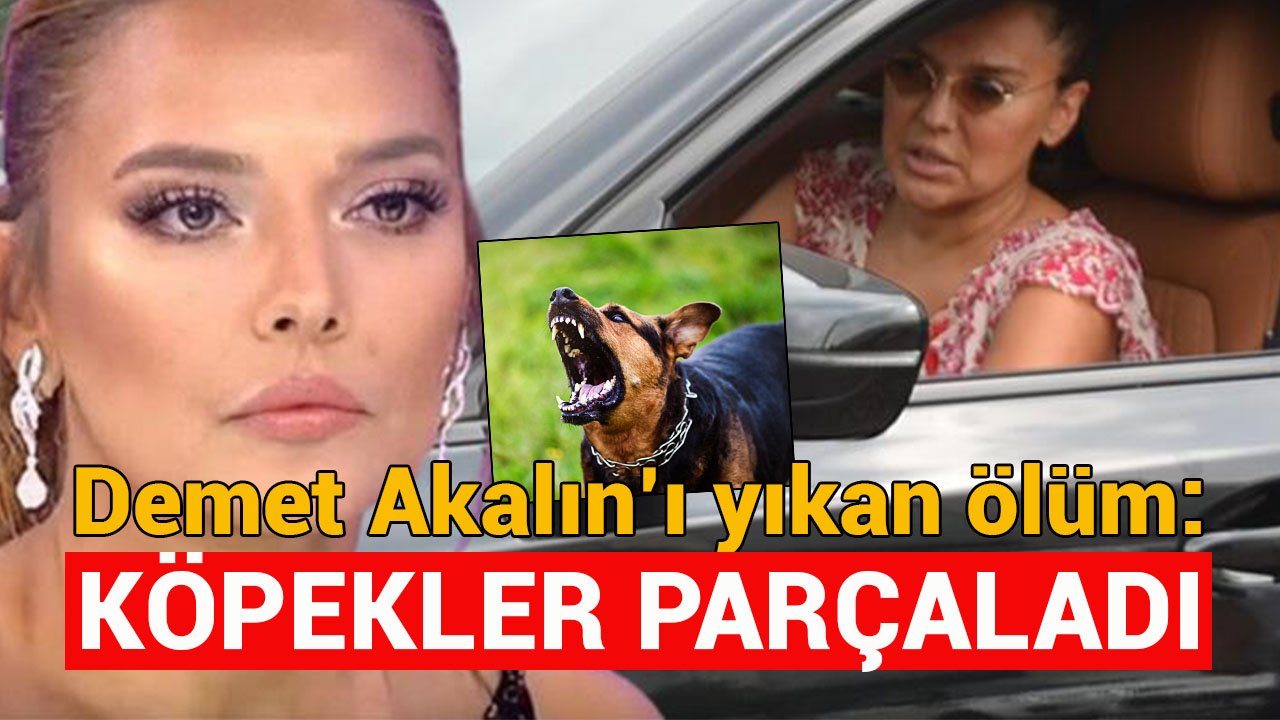 Demet Akalın’ın kuzeni köpek saldırısında hayatını kaybetti