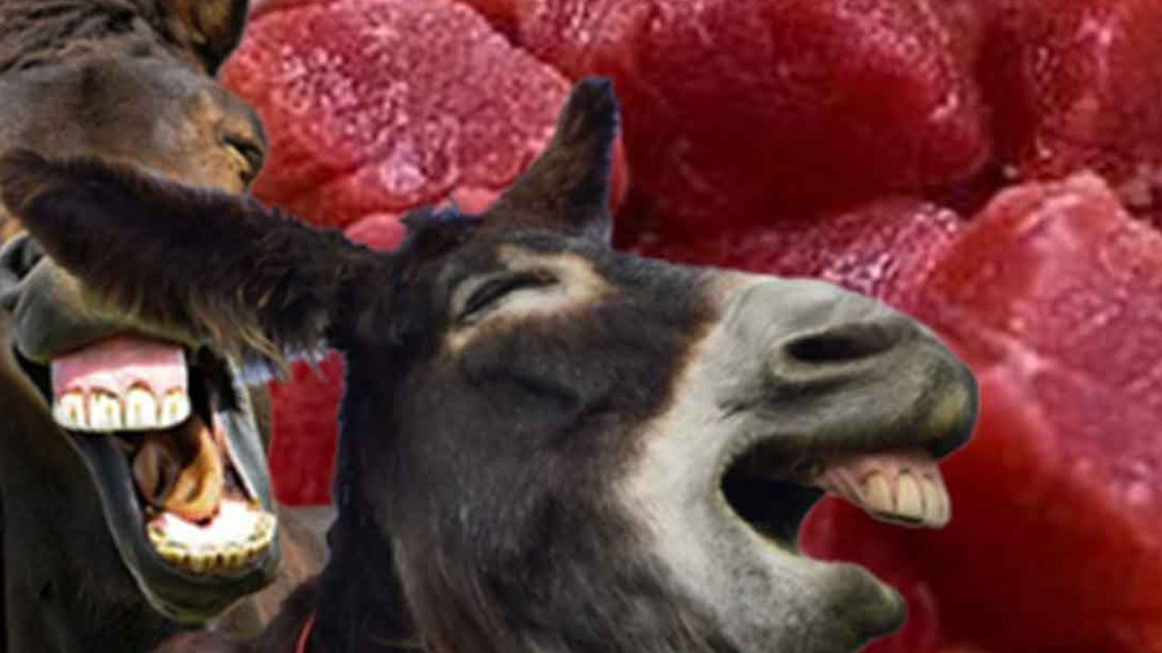 Ünlü yemekçiden at ve eşek eti çıktı