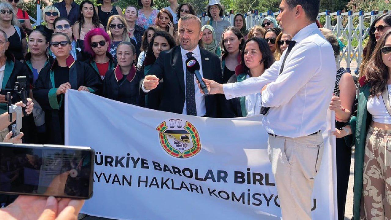 Ankara Barosu başıboş köpeklerin avukatlığına soyundu!