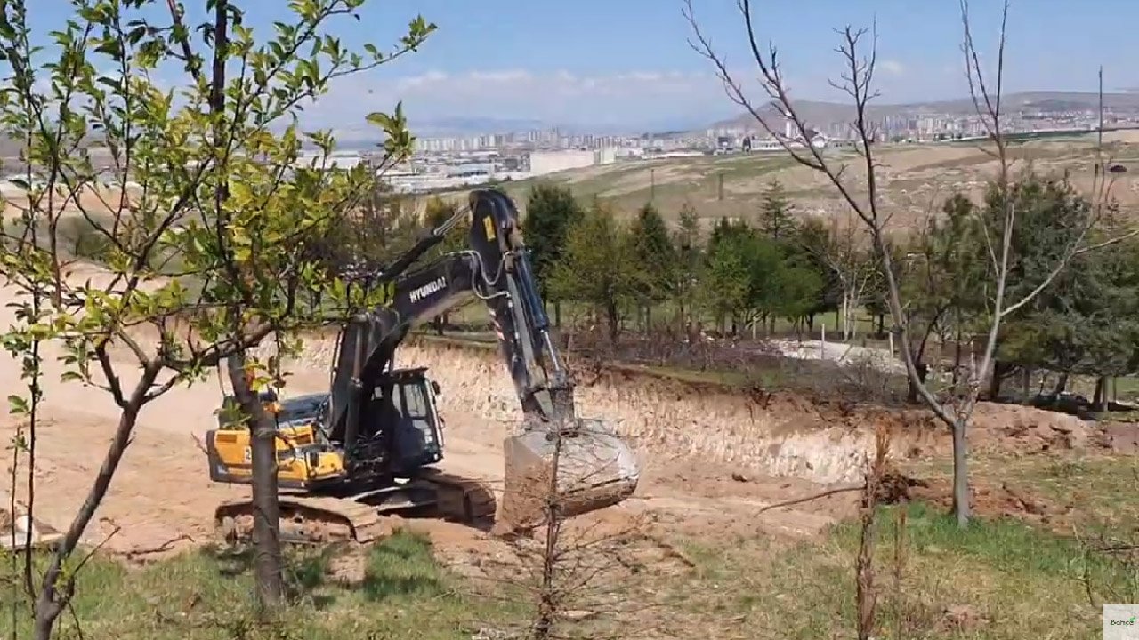 Sincan OSB Yeni Çimşit’te ağaç katliamı yapıyor