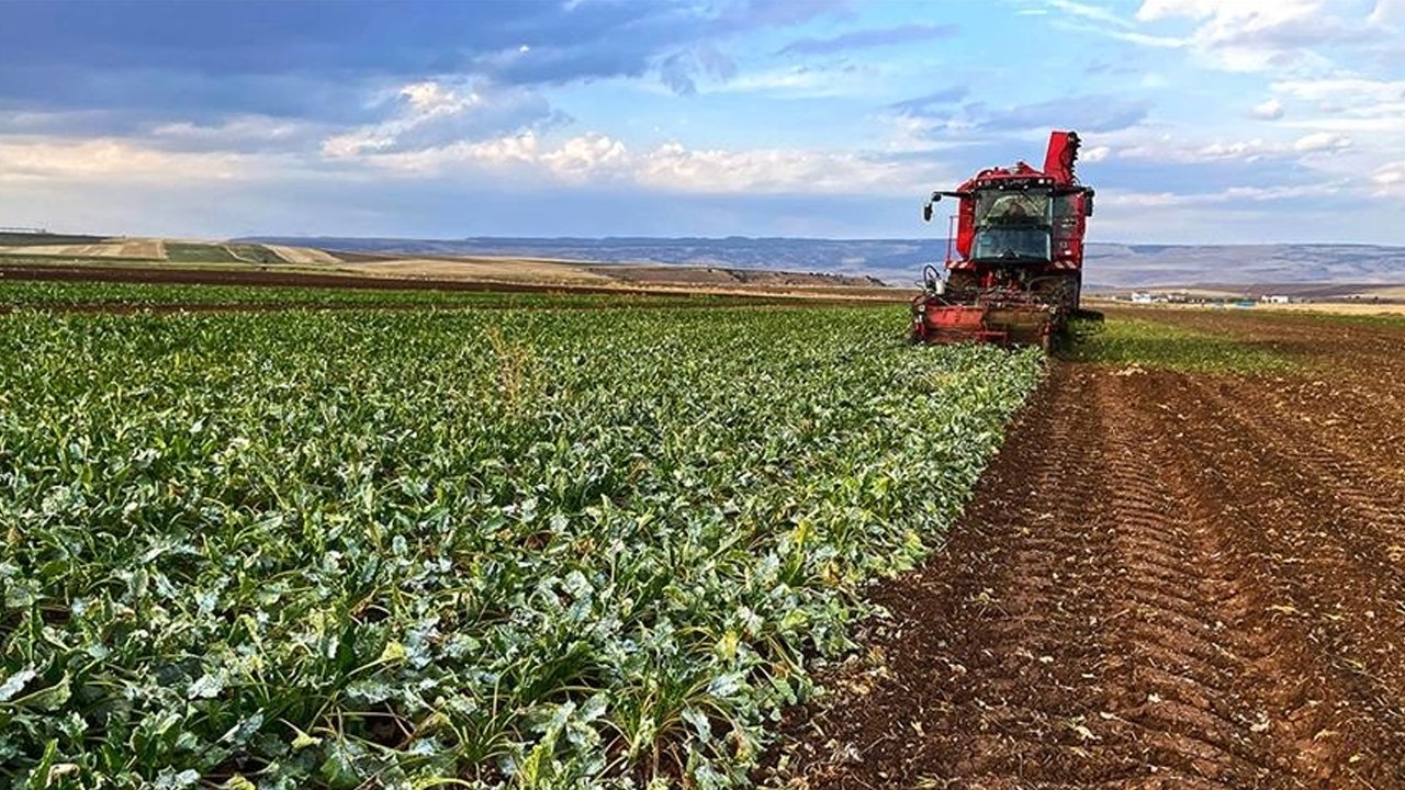 Ankara'da bu hafta 335 çiftçiye destek verildi: 19 ilçede çalışmalar sürüyor