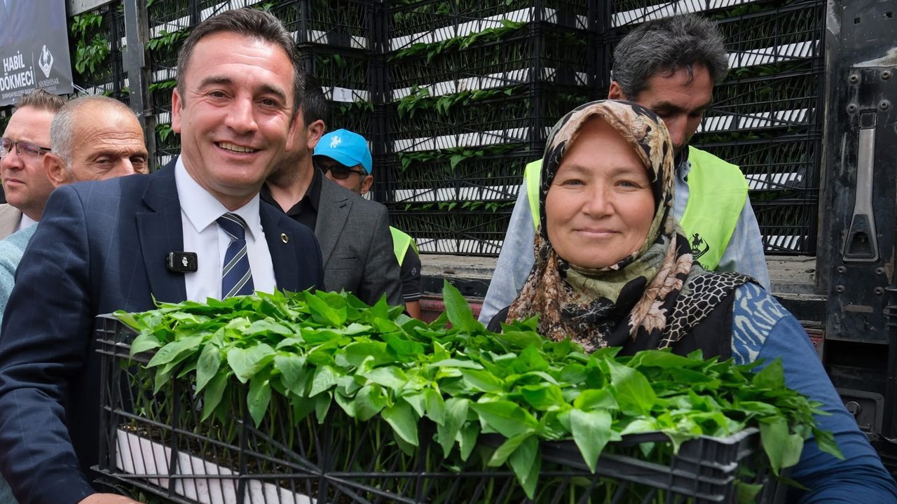 Ankara'daki fide desteği Sivrihisar'a ulaştı: Çiftçi memnun