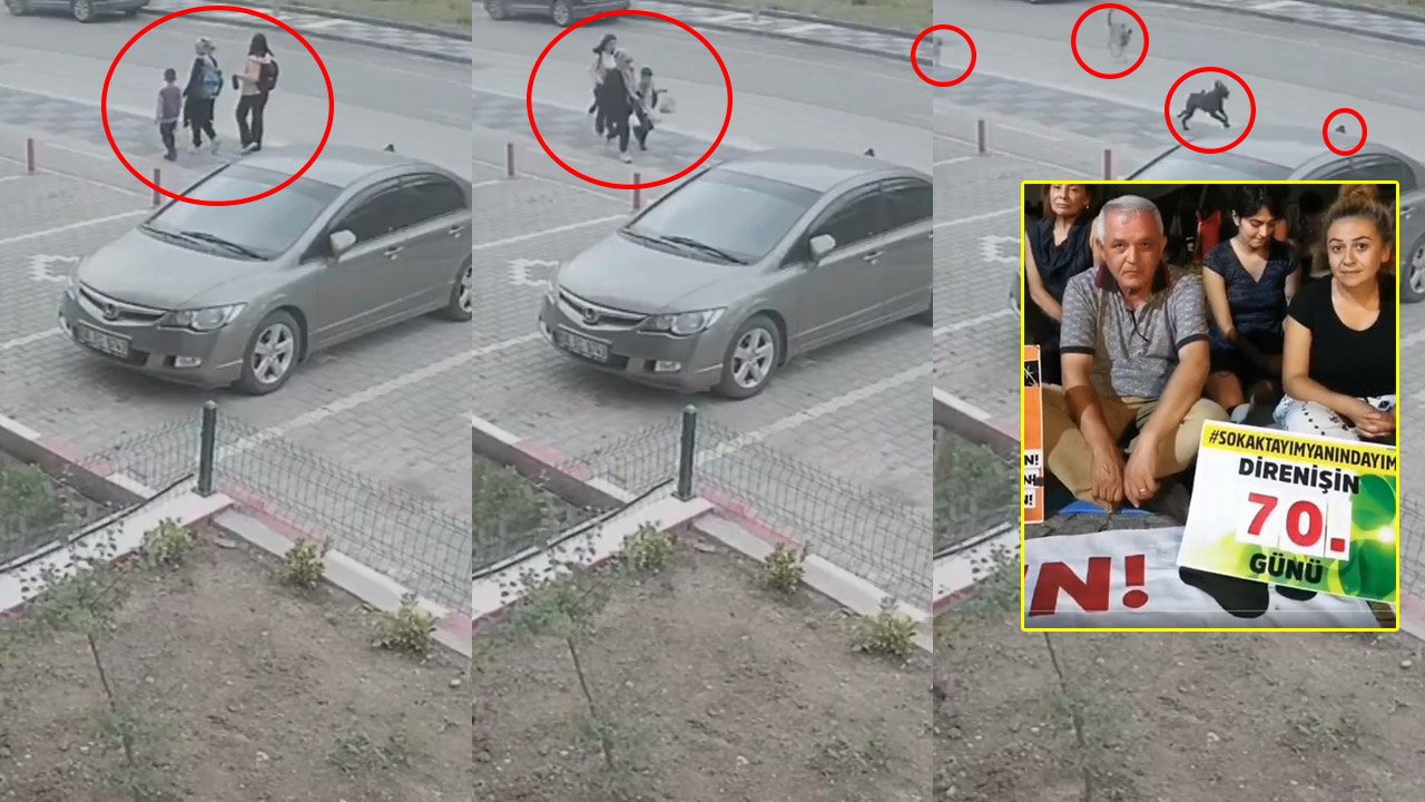 Mamak Kıbrısköy’de dehşet: Bir aile az kalsın başıboş köpeklere yem oluyordu