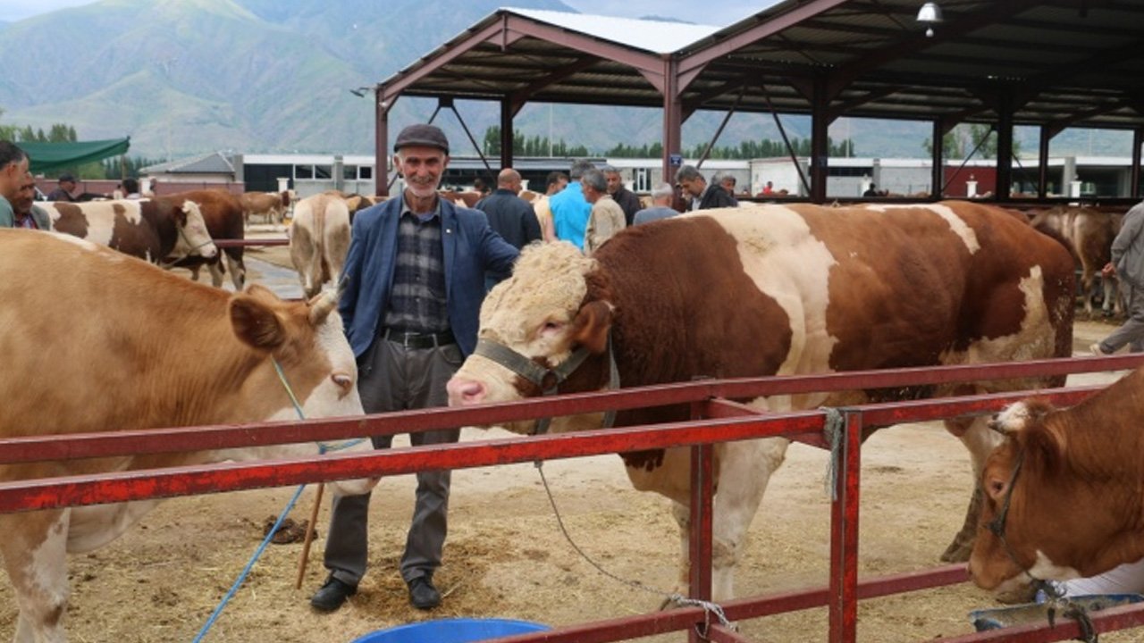 ABB'den Kurban Bayramı’nda et bağışı kampanyası: 6-7 Haziran'a dikkat