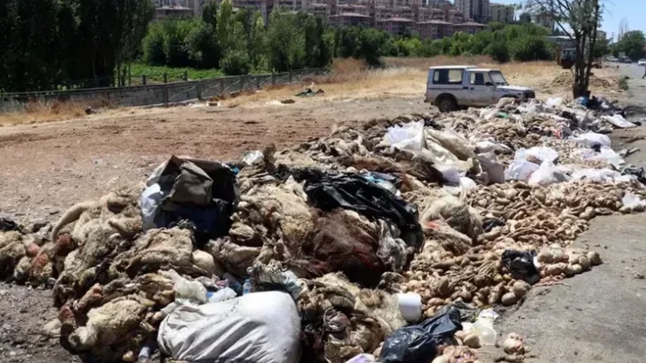 Gölbaşı Belediyesi uyardı: Kurban atıklarını sokakta bırakmayın