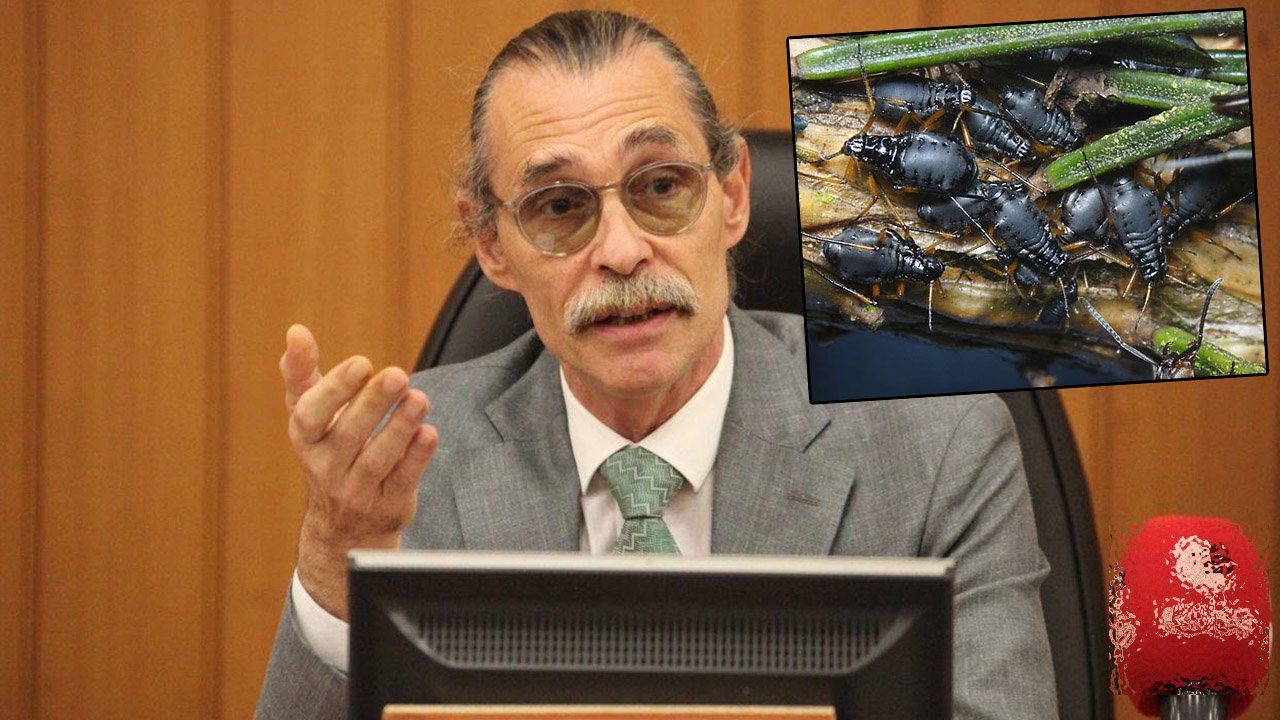Erdal Beşikçioğlu’ndan böcek açıklaması: Endişeye gerek yok
