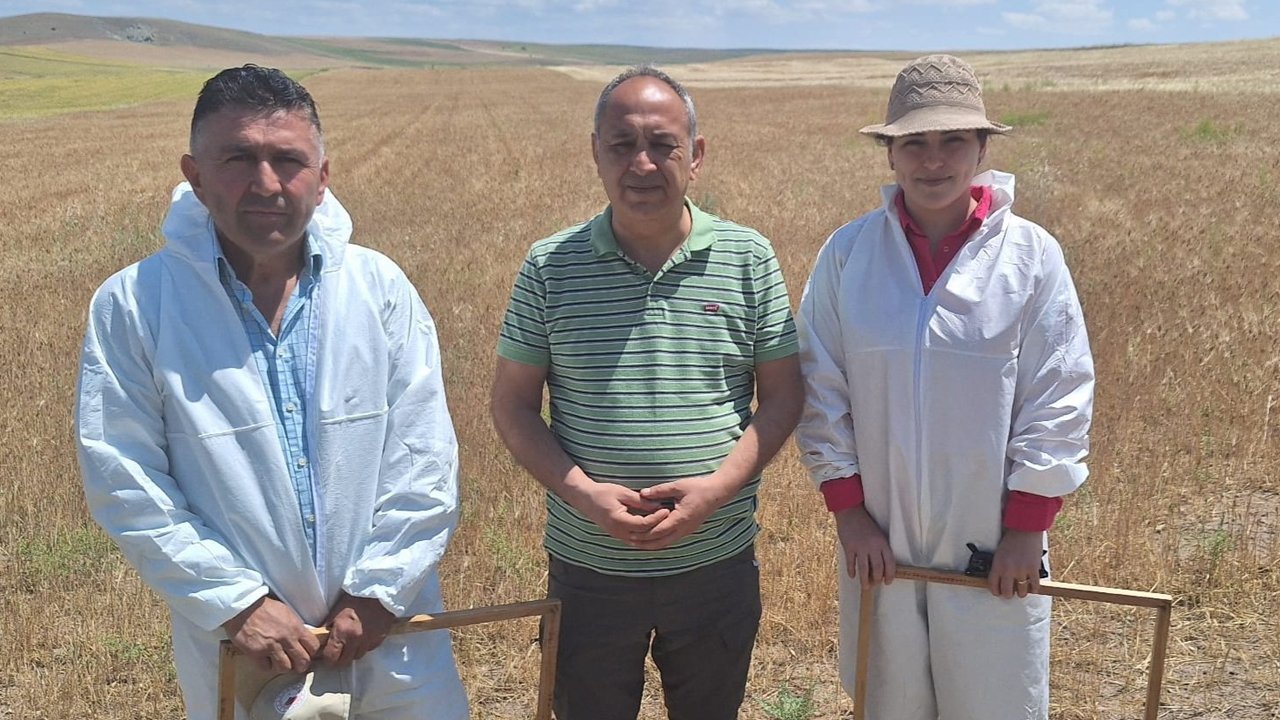 Ankara Tarım Müdürü Ahmet Dallı Şereflikoçhisar’da tarlaya indi