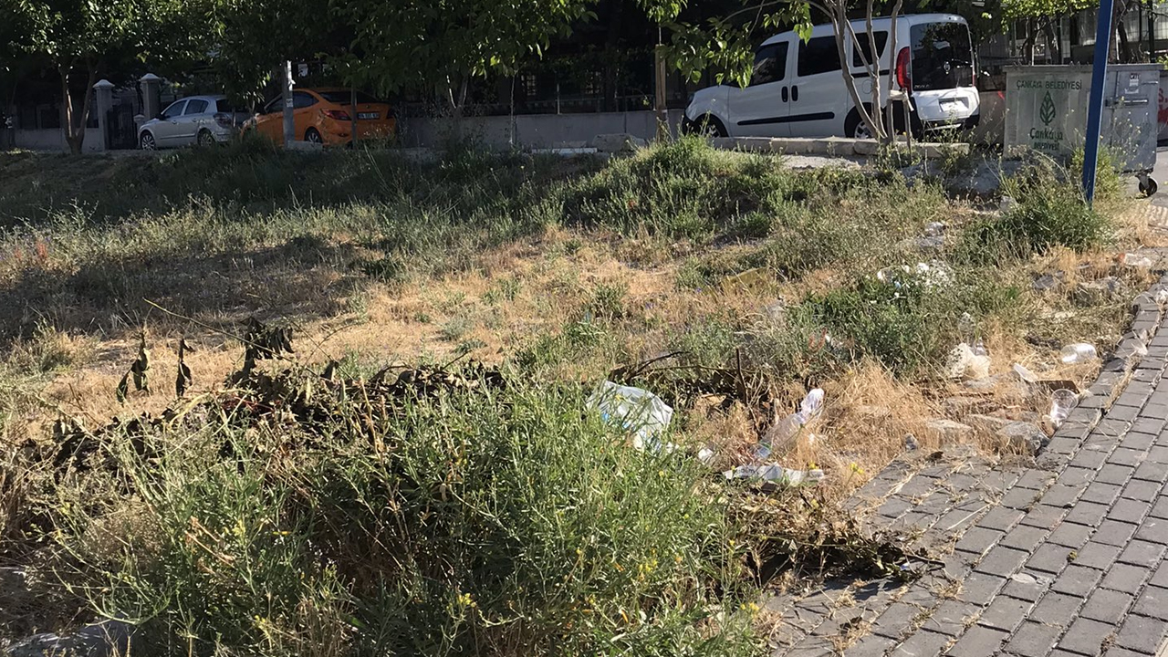 Ankara Yaşamkent’te çöpler toplandı: Vatandaş şikayet etmişti