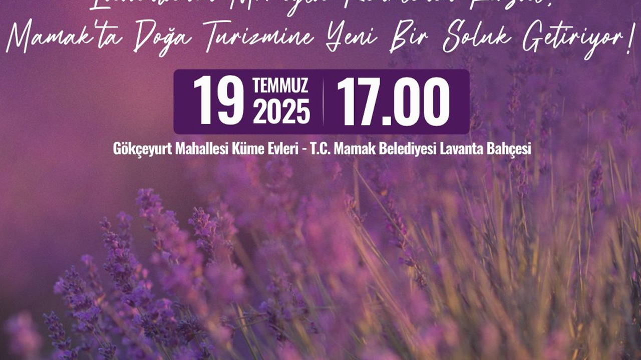 Mamak’ta keyif zamanı: 2. Lavanta Şenliği başlıyor!