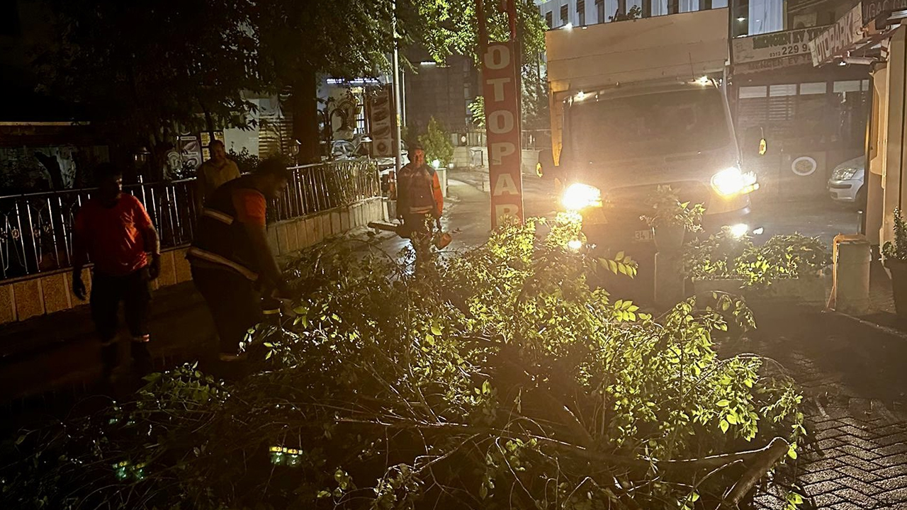 Çankaya'da şiddetli fırtınanın yaraları sarılıyor