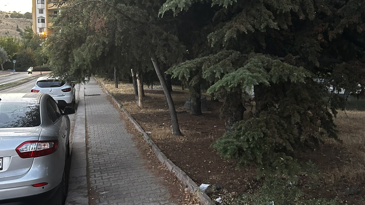 Çankaya Koru Mahallesi'nde kaldırımda yürünmüyor: Ağaçlar budanmalı