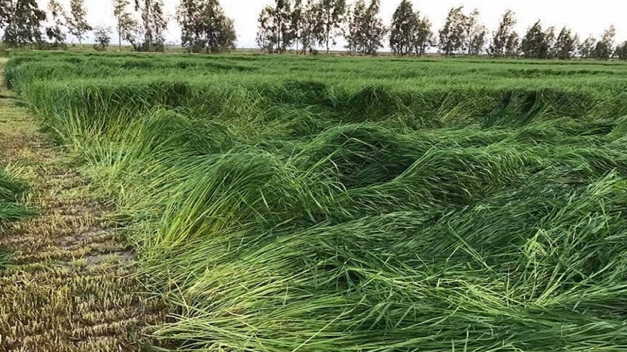 Çankaya'da yangın önlemi: Kuruyan otlara müdahale edildi