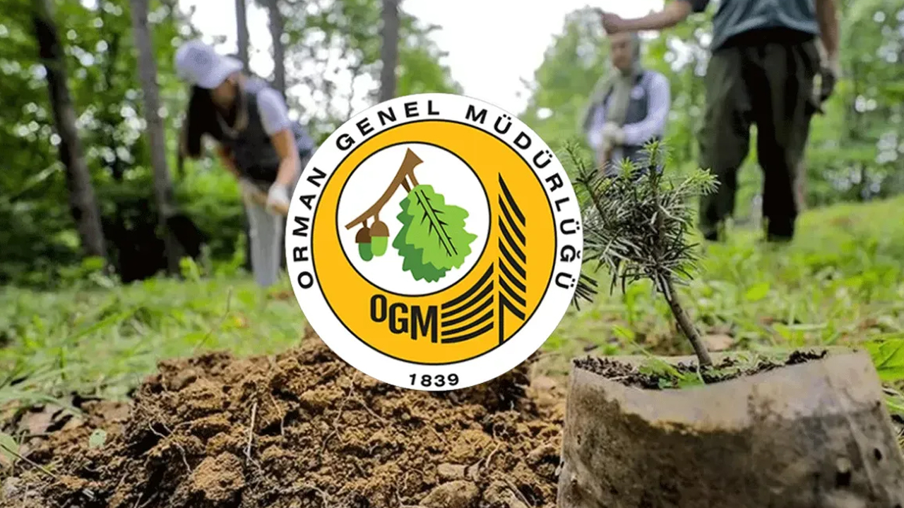 Orman Genel Müdürlüğü şehit personeller için taziye mesajı yayınladı