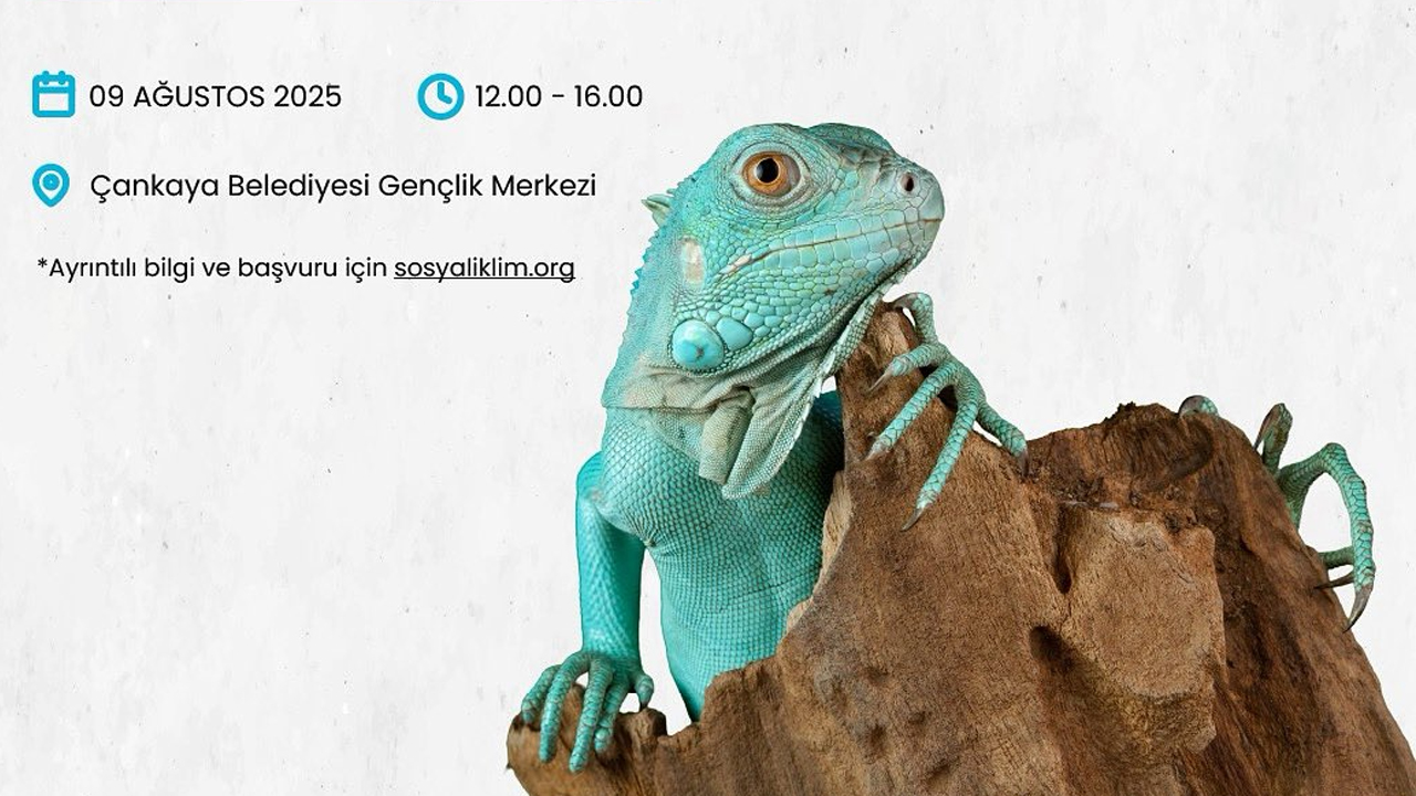 Çankaya'da gençlere özel dünya iklim simülasyonu etkinliği