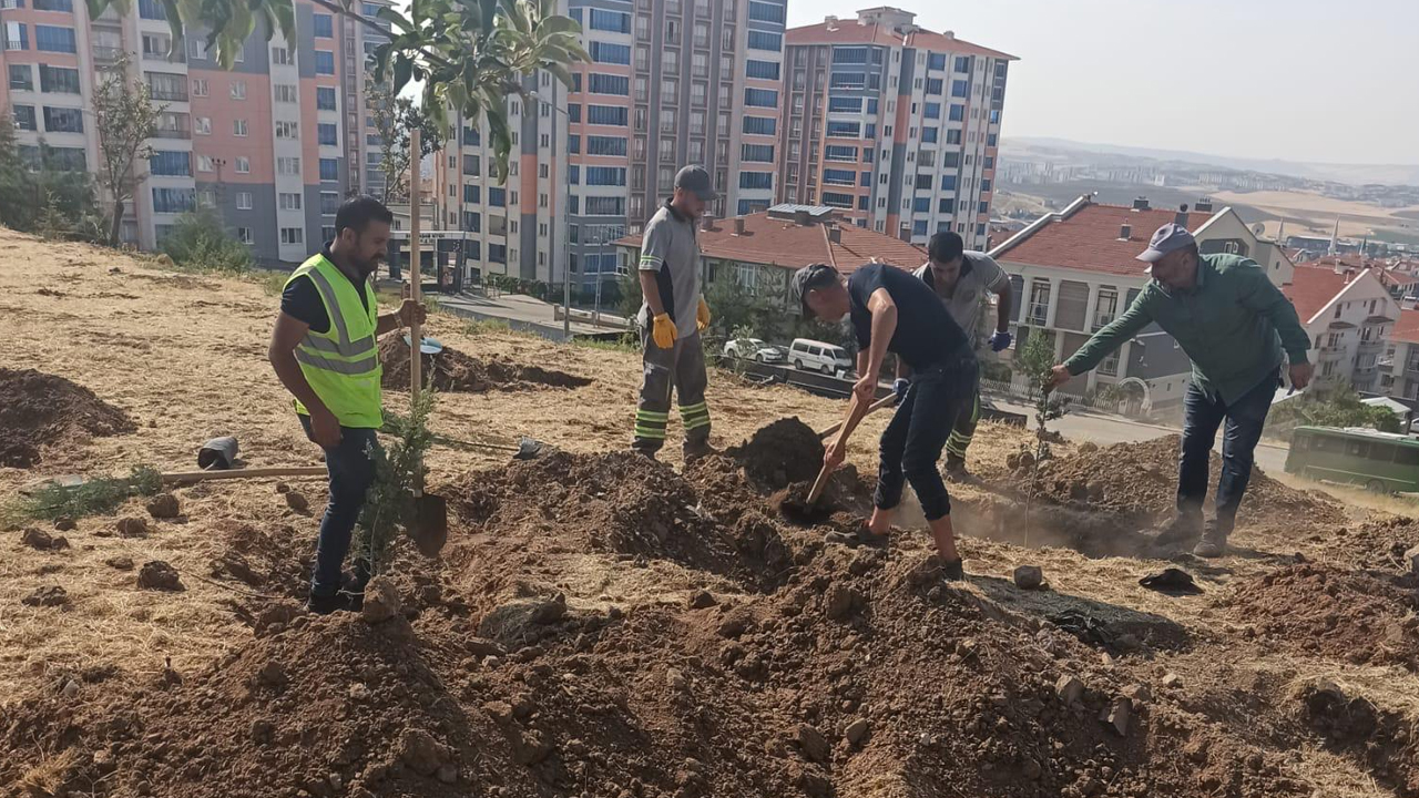 Eskişehir şehidinin adı Polatlı'daki yeni ağaçlık alana verildi