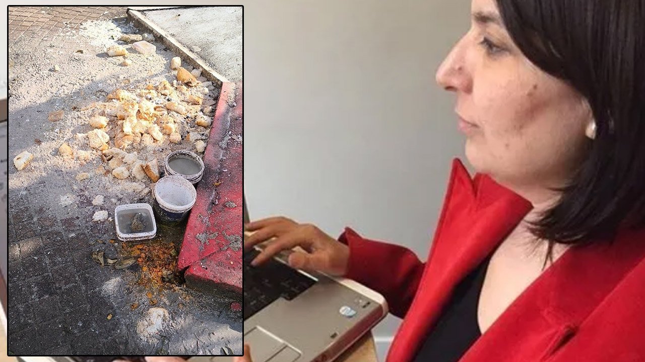 Prof. Bulut: Hayvan edinmek ehliyete ve vergiye bağlansın