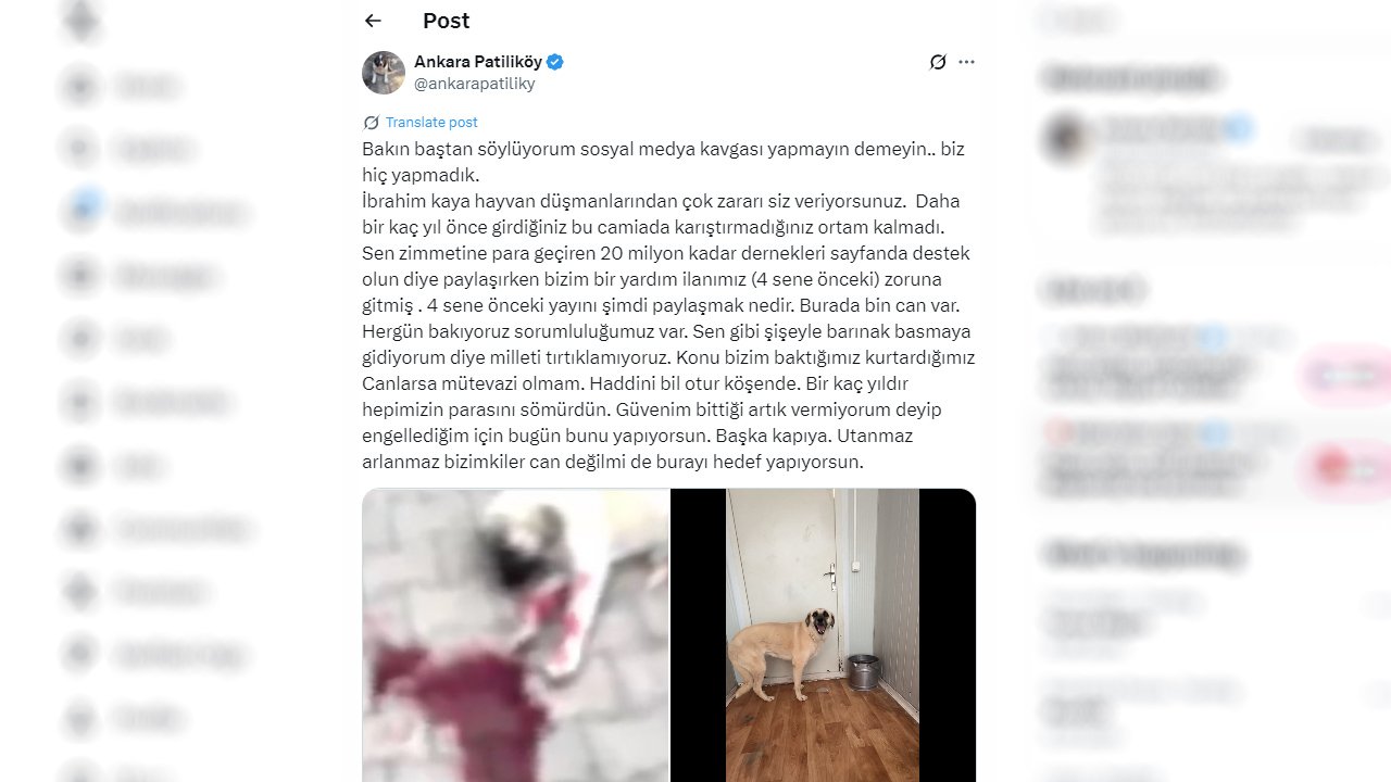 Yardım toplayan hayvanseverler birbirine girdi