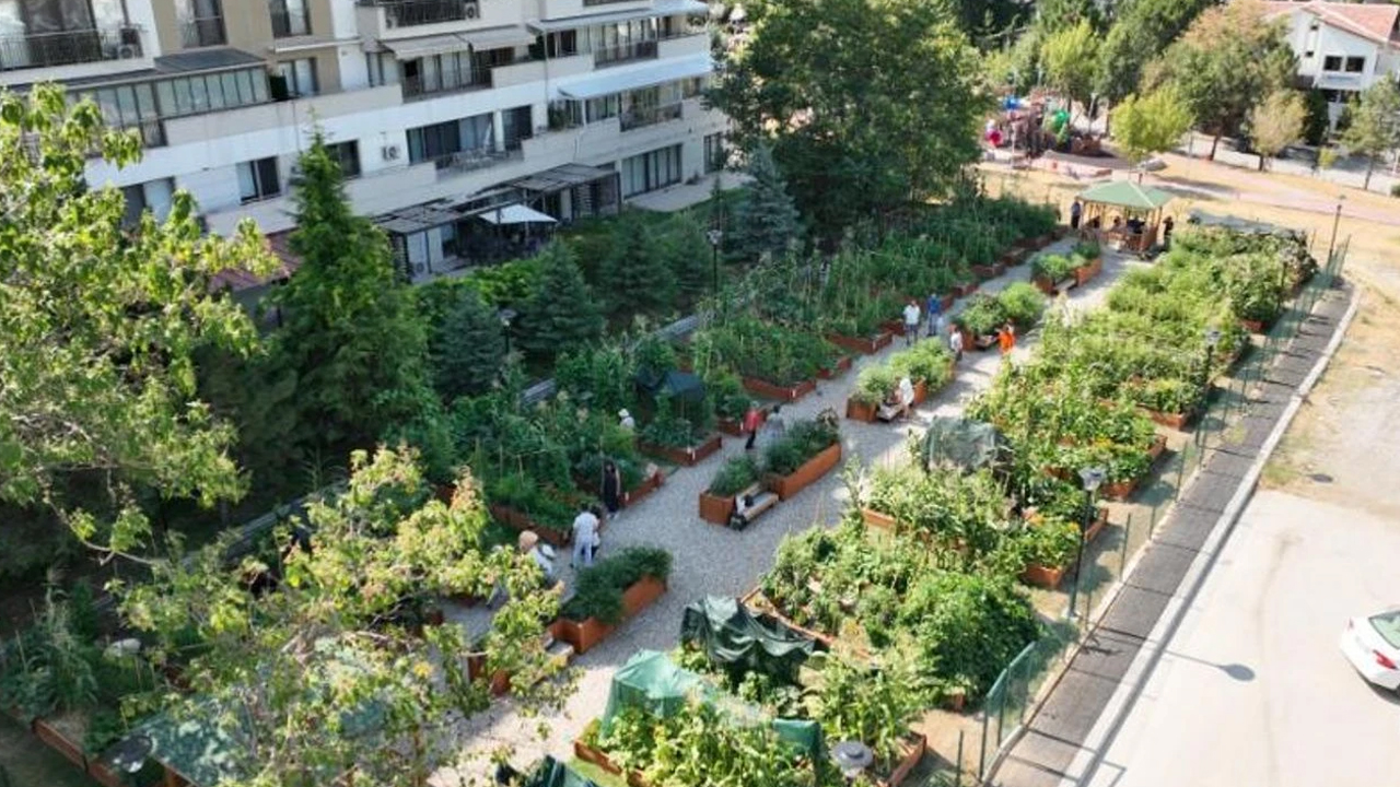 Çankaya Kent Bostanları’nda 2025 güz sezonu başlıyor