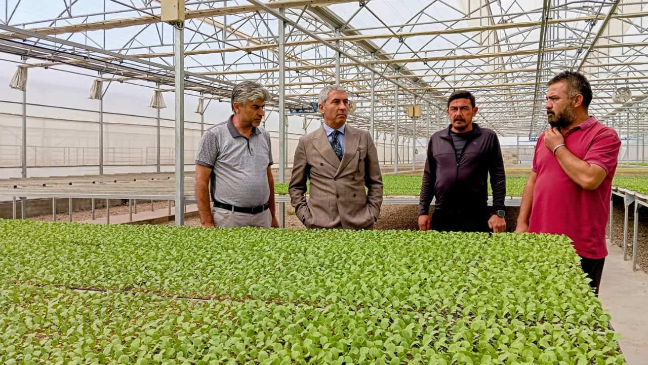 Beypazarı Kaymakamı tarımcıları ziyaret etti: Saha ziyaretleri devam