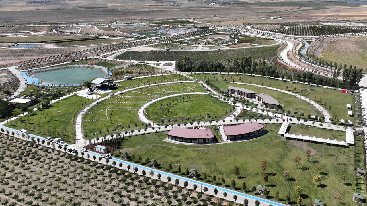 Ankara ATA Çiftliği’nde dolu dolu hafta: Hasat yapıldı