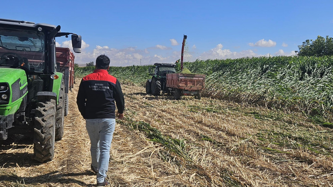Haymana’da hibe destekli sorgum otu hasadı yapıldı