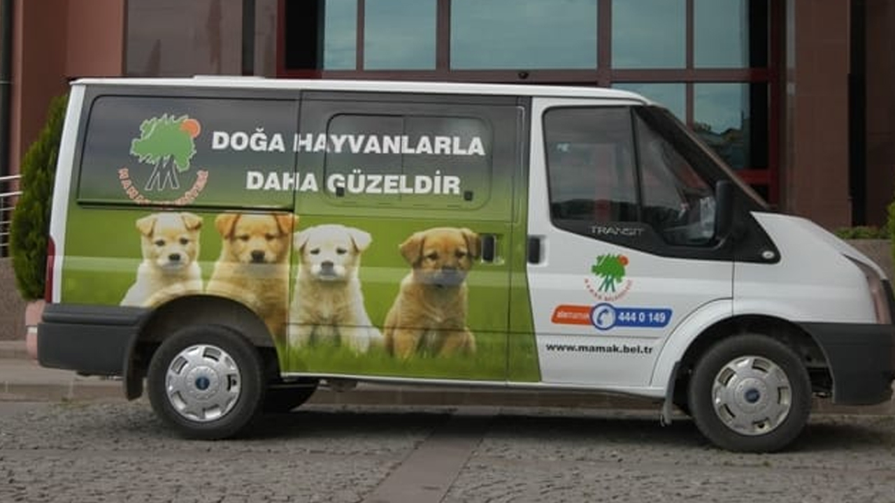 Mamak'ta evcil hayvanlar için hastane açıldı: Belediye duyurdu