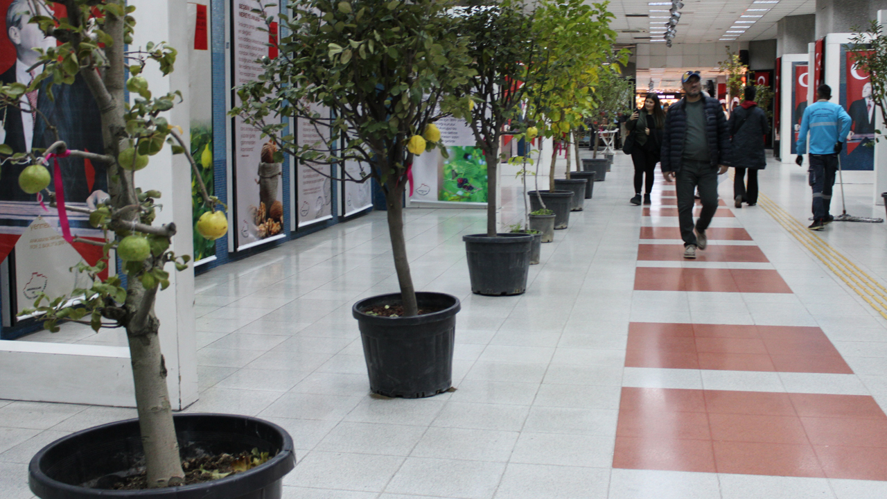 Ankara’nın zengin tarım mirası sergide tanıtıldı: Yoğun ilgi gördü