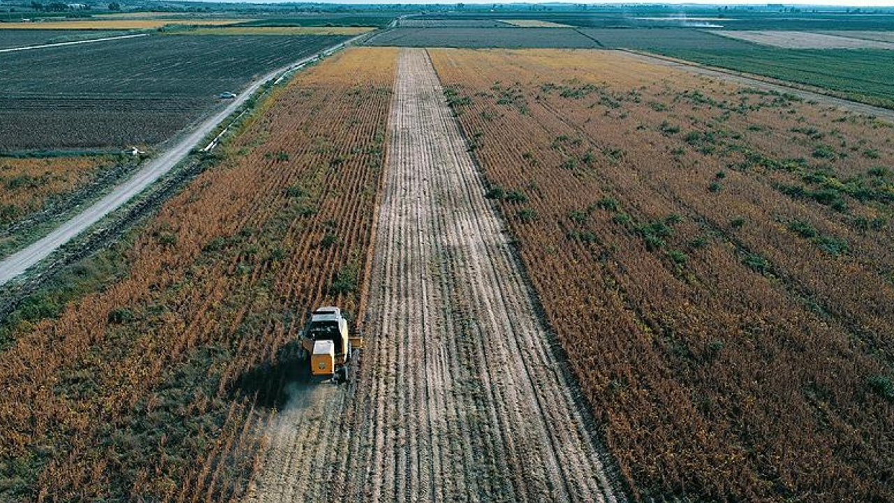 Ankara tarım şehri oldu: Kırsal bölgelere yatırım artıyor