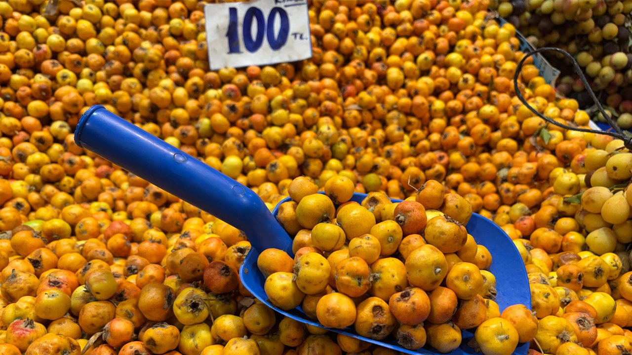 İbni Sina’nın reçetesindeki alıç tezgahlarda: Kilosu 100 TL