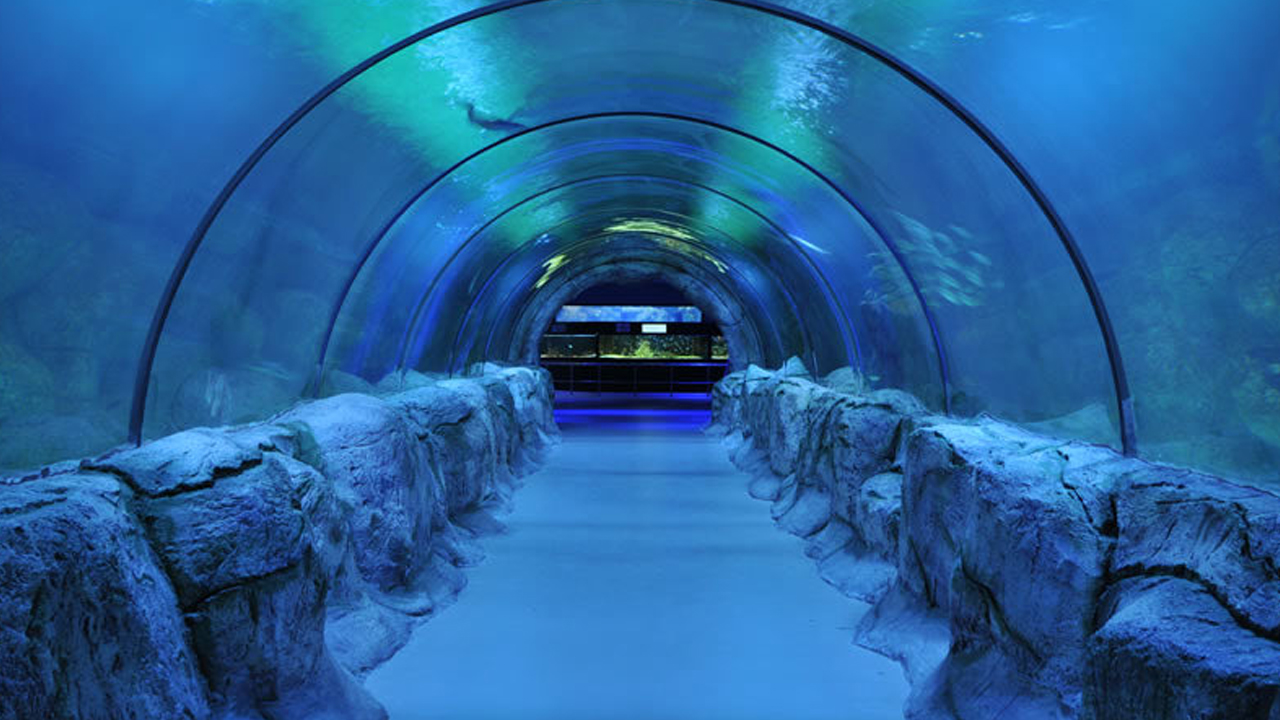 Keçiören Deniz Dünyası hala kapalı: Vatandaşlar açılmasını bekliyor