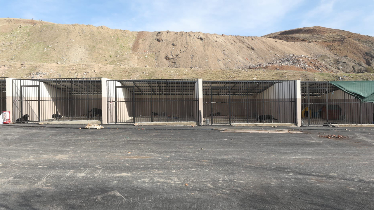 Yenimahalle'de inşa edilen köpek barınağında sona yaklaşıldı