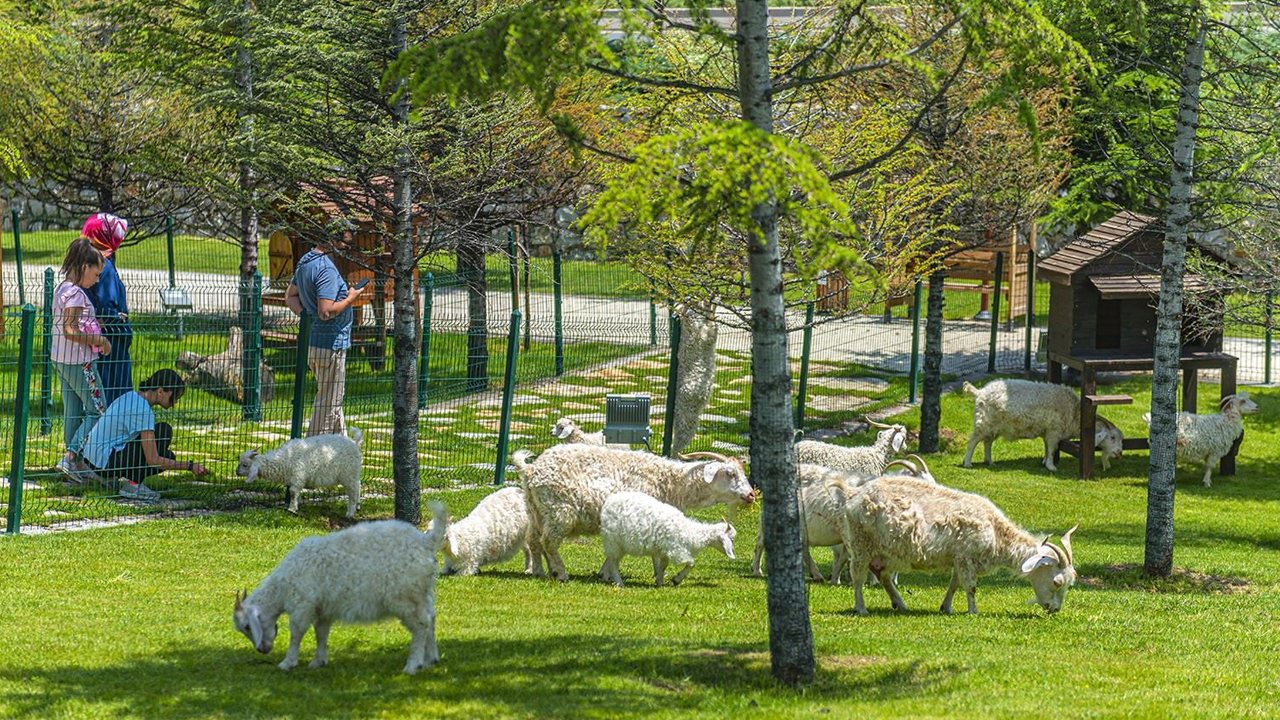 Ertuğrul Çetin vizyonu: Endemik Vadi Pursaklar'ın gözdesi oldu