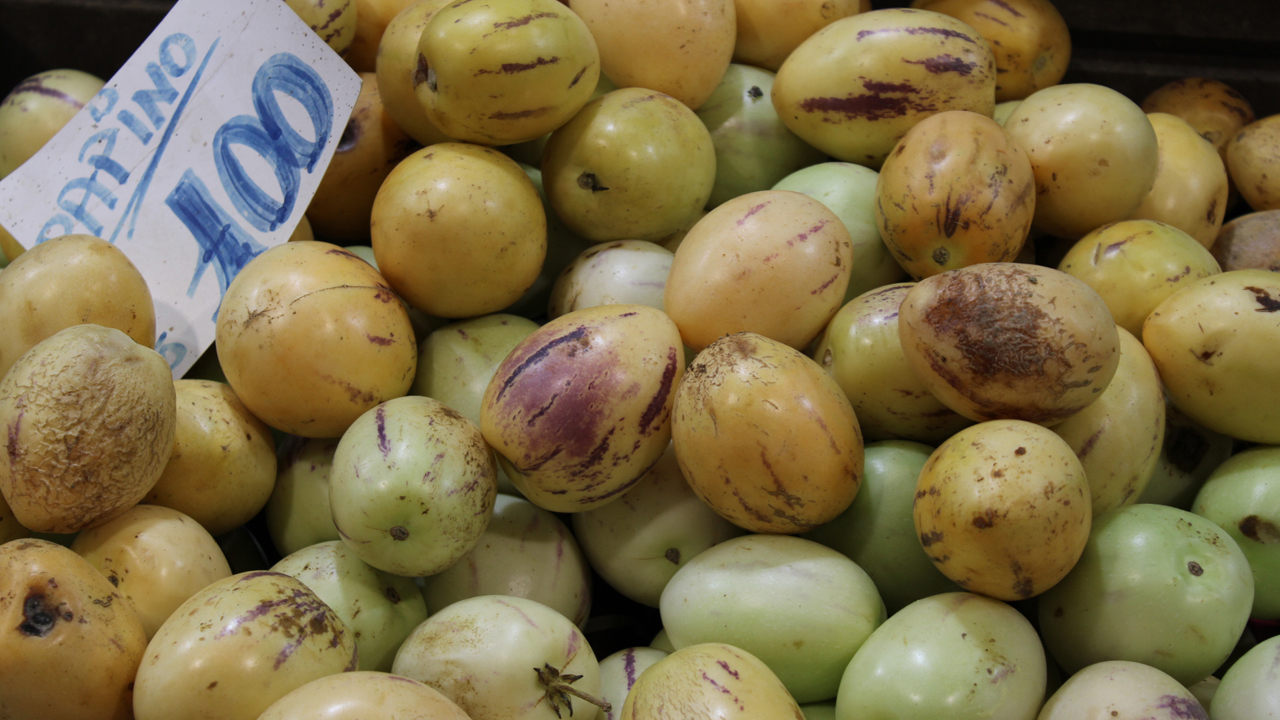 Kış meyvesi pepino tezgahlarda yerini aldı: Ankara'da kilosu 100 TL