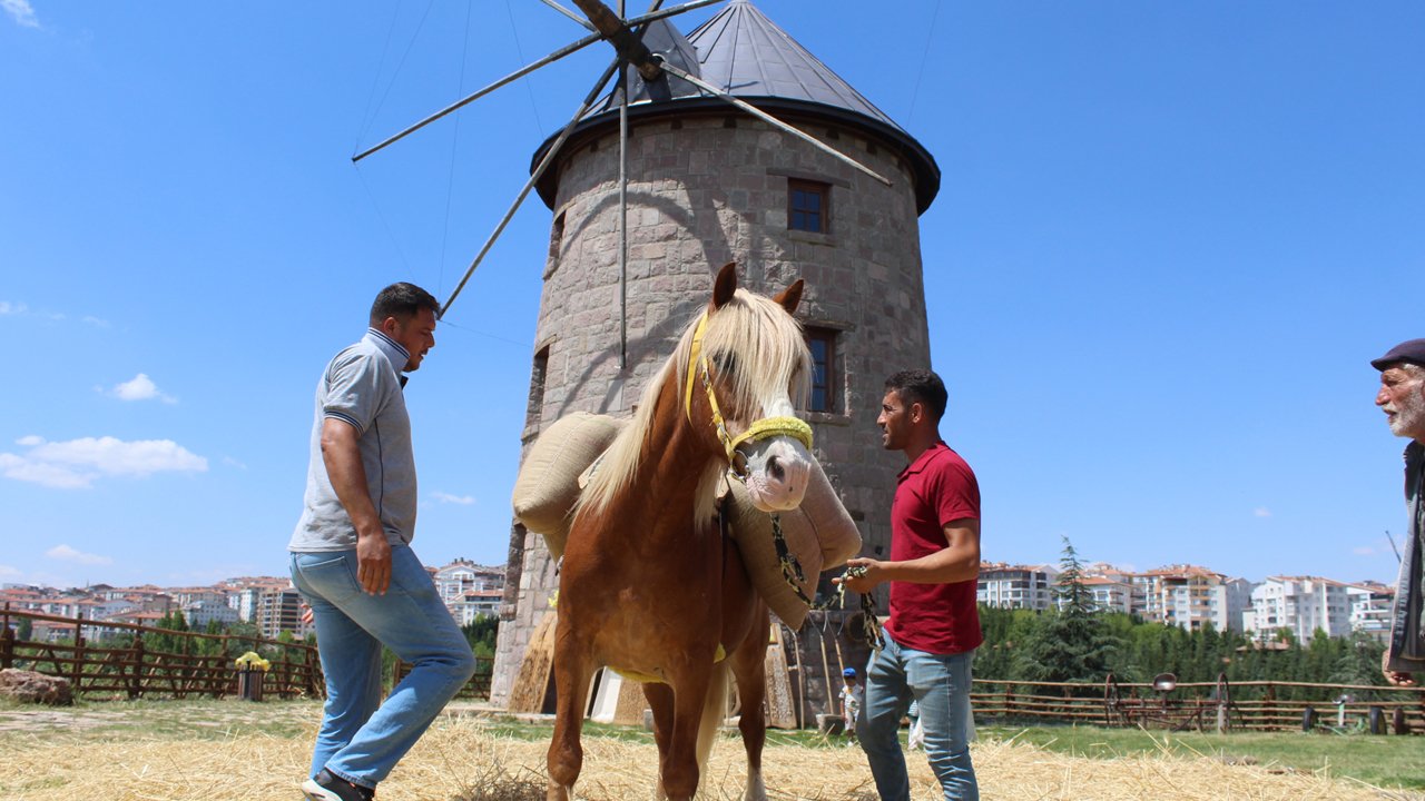 Köy yaşantısının kalbi Altınköy Açık Hava Müzesi’nde atıyor