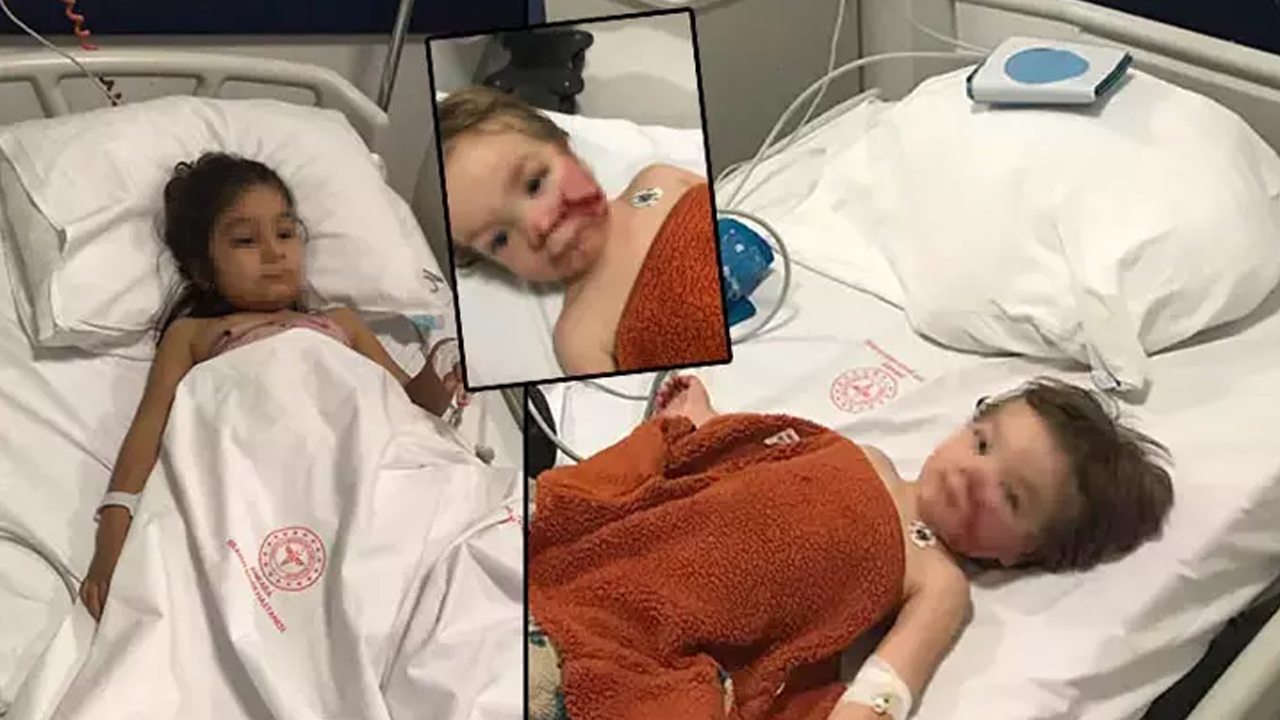 Ankara’da iki kardeşe saldıran 'pitbull'un sahibi 12 kez şikayet edilmiş