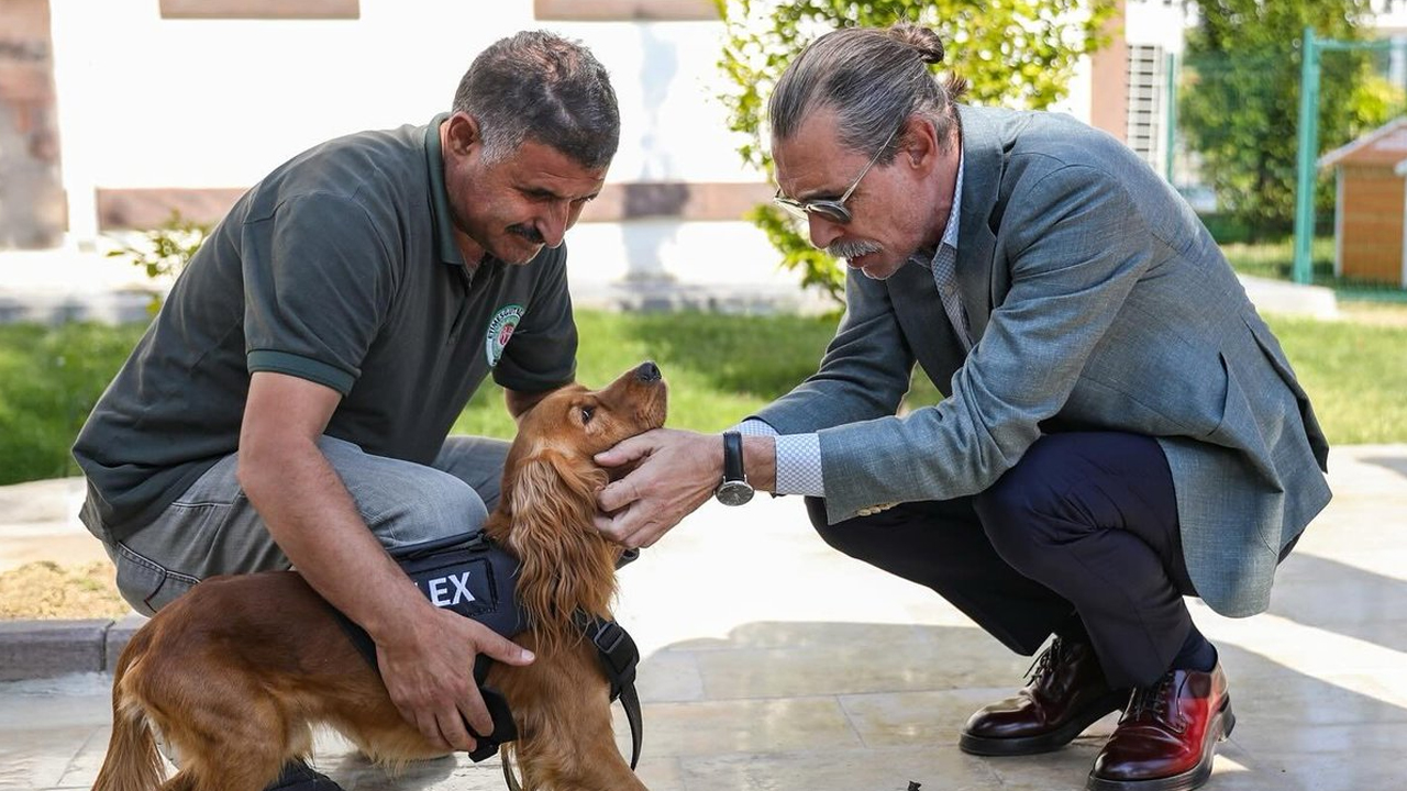 Saldırgan 'pitbull'u Erdal Beşikçioğlu'na teslim etmek doğru mu?