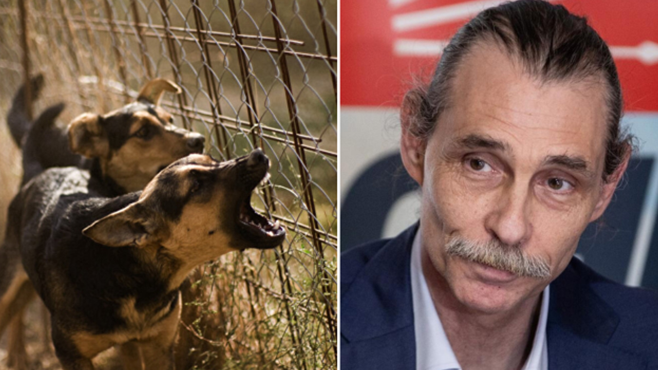 Etimesgut'taki pitbull dehşeti sonrası Erdal Beşikçioğlu sessizliğini koruyor