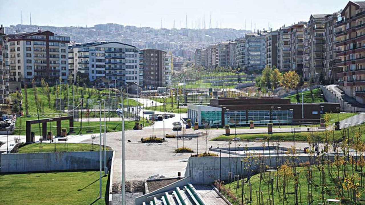 Ankara Öveçler Vadisi’ndeki başıboş köpekler Mansur Yavaş'a şikayet edildi