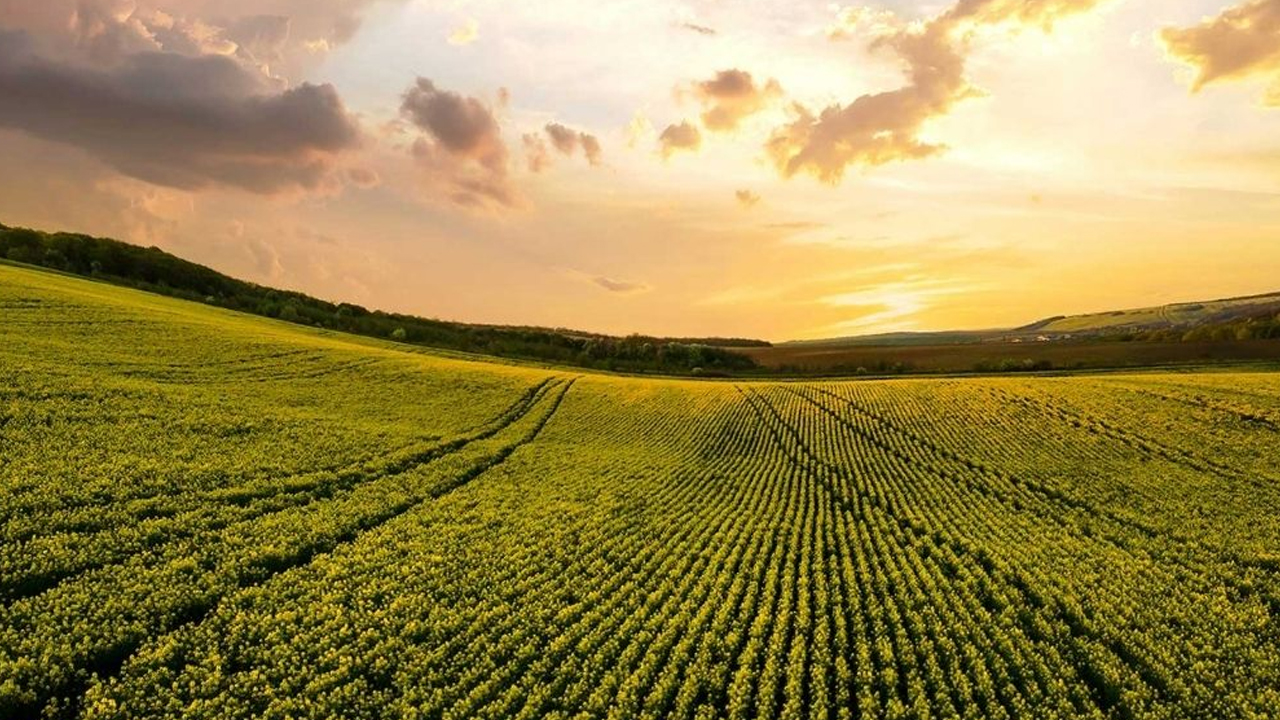 Ankara'da 5 kritik eğitim yapılacak: Gündem iklim değişikliği