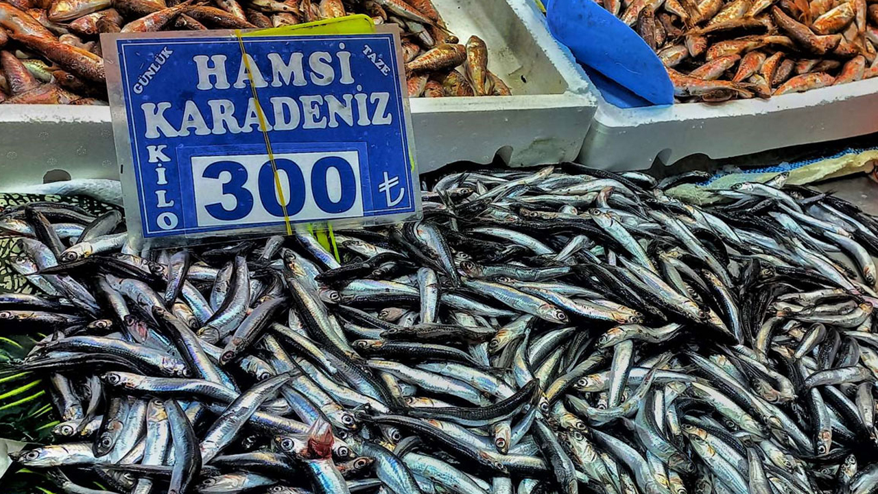 Ankara Ulus Hali'nde hamsi diye sardalya satılıyor: Mansur Yavaş'a şikayet edildi