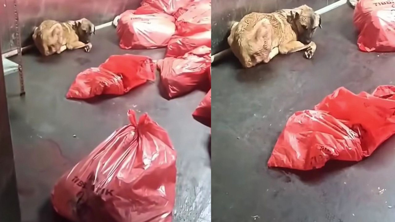 Ankara Büyükşehir açıkladı: O görüntüler Karataş’a ait değilmiş